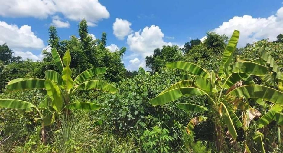 For sale land in Mueang Surat Thani, Surat Thani