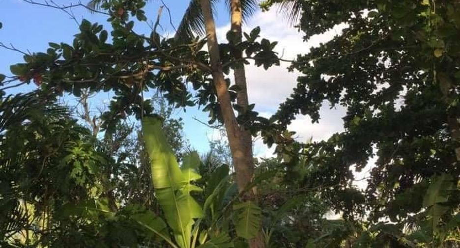 For sale land in Mueang Surat Thani, Surat Thani