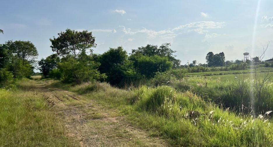 For sale land in Mueang Surin, Surin