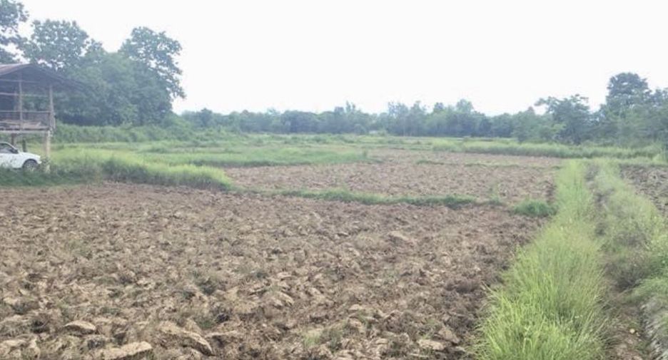 For sale land in Muang Nan, Nan