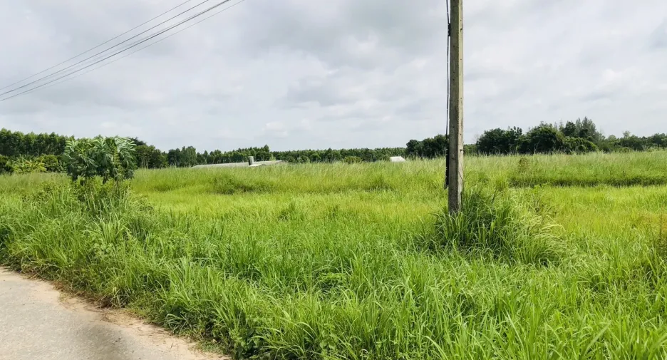 出售 土地 在 Phanat Nikhom, Chon Buri