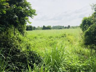 For sale land in Phanat Nikhom, Chonburi