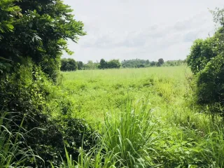 Terreno en venta en Phanat Nikhom, Chonburi