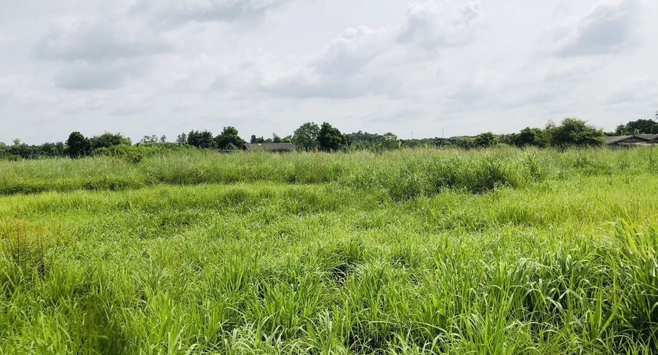 出售 土地 在 Phanat Nikhom, Chon Buri