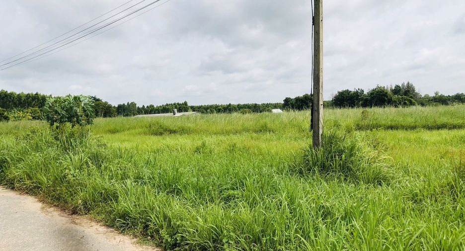Продажа Участок в Phanat Nikhom, Чонбури