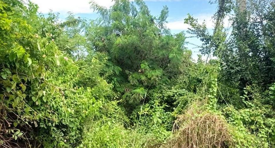 For sale 1 bed house in Takhli, Nakhon Sawan