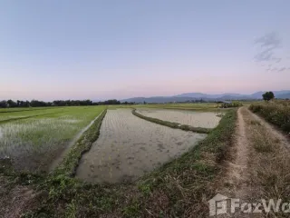Продажа Участок в Phrao, Чианг Маи