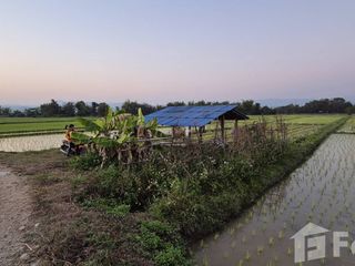 Продажа Участок в Phrao, Чианг Маи