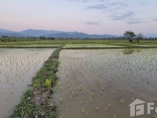 Продажа Участок в Phrao, Чианг Маи