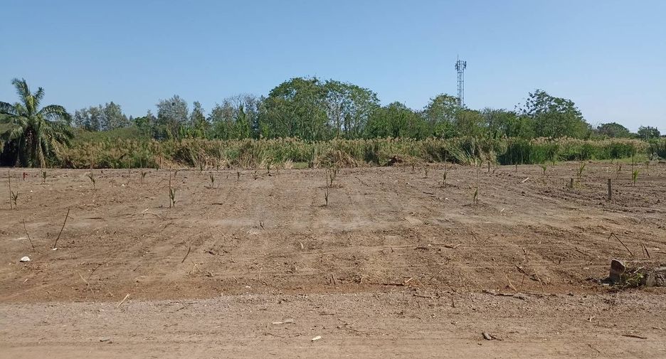 For sale land in Khlong Sam Wa, Bangkok