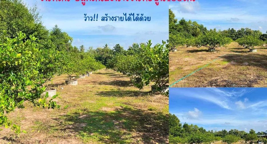 For sale land in Mueang Udon Thani, Udon Thani