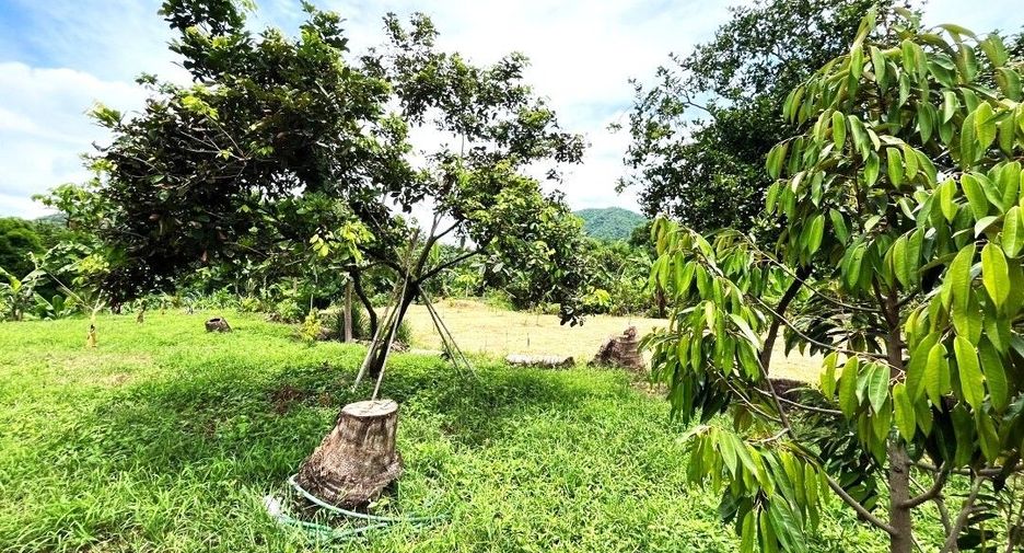 For sale land in Lom Sak, Phetchabun