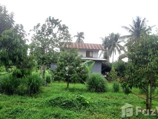 ขาย ที่ดิน ใน หล่มสัก, เพชรบูรณ์