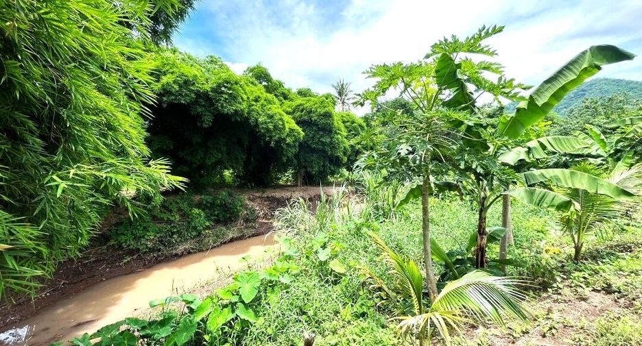 For sale land in Lom Sak, Phetchabun