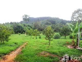 ขาย ที่ดิน ใน หล่มสัก, เพชรบูรณ์