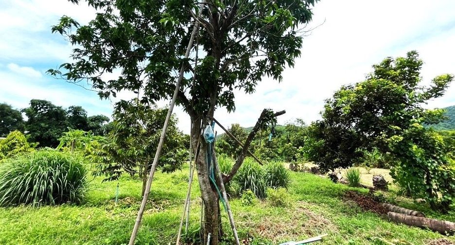 For sale land in Lom Sak, Phetchabun