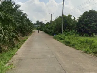 出售 土地 在 Ko Chan, Chon Buri