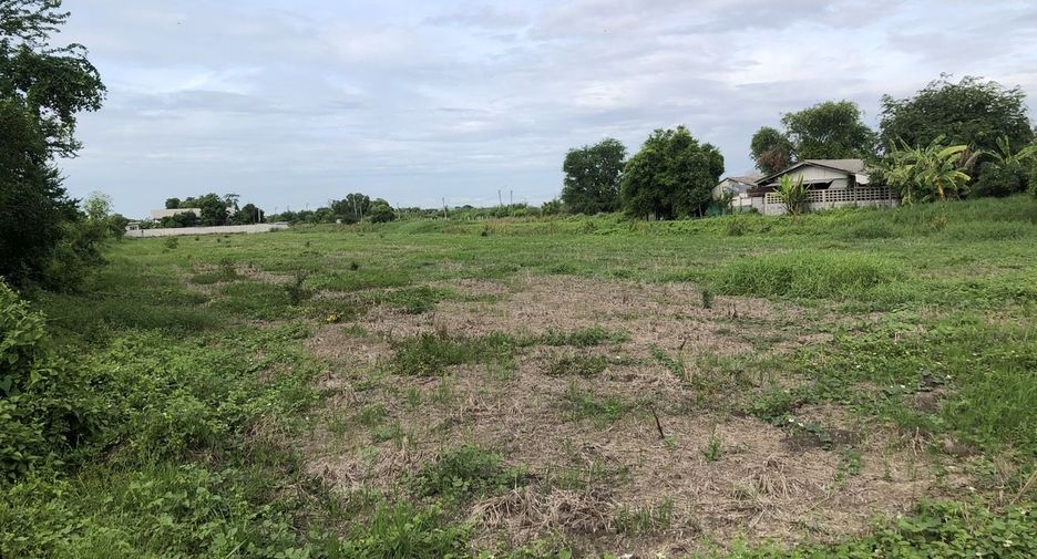 For sale land in Nong Chok, Bangkok