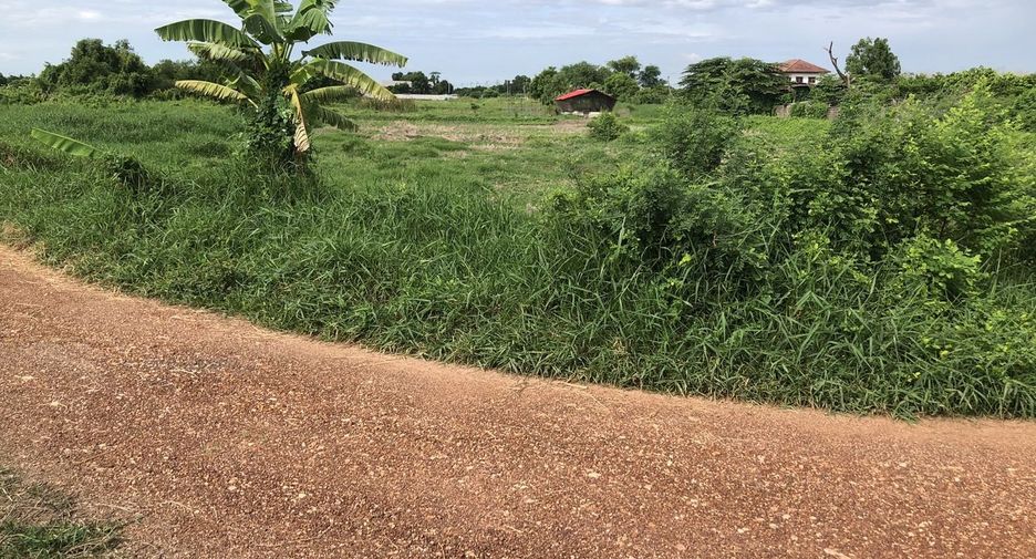 For sale land in Nong Chok, Bangkok