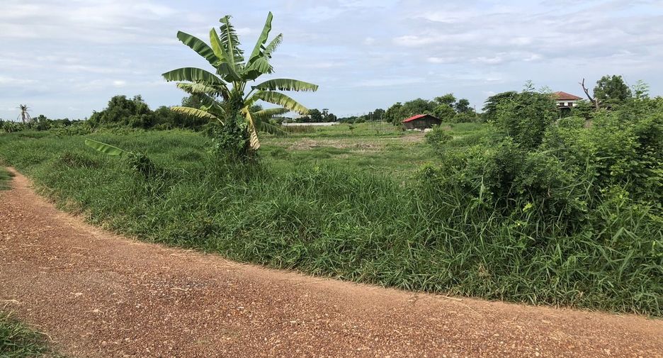 For sale land in Nong Chok, Bangkok