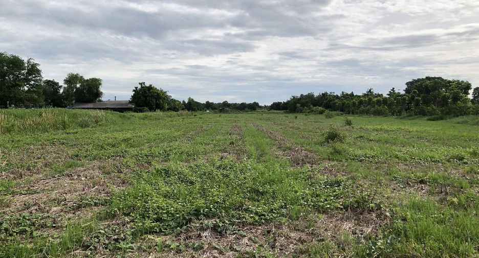 For sale land in Nong Chok, Bangkok