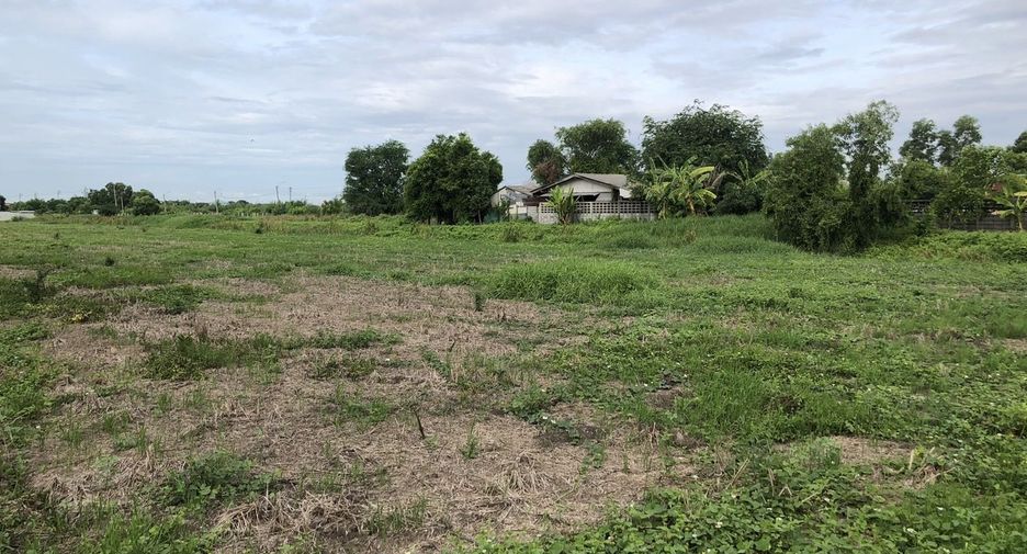 For sale land in Nong Chok, Bangkok