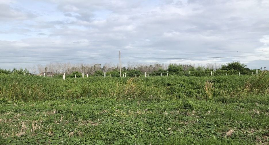 For sale land in Nong Chok, Bangkok
