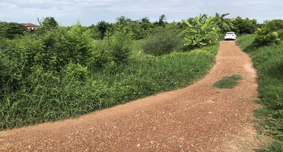 For sale land in Nong Chok, Bangkok