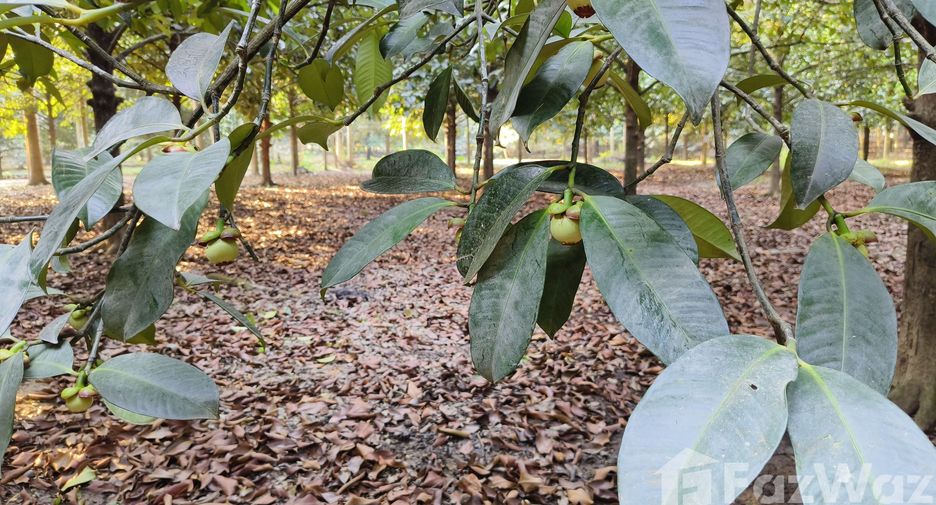 Grundstück zum Kauf in Makham, Chanthaburi
