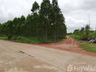 出售 土地 在 Kabin Buri, Prachin Buri