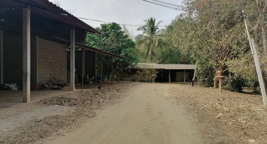 For sale land in Wang Chin, Phrae