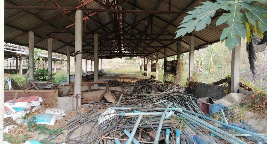 For sale land in Wang Chin, Phrae