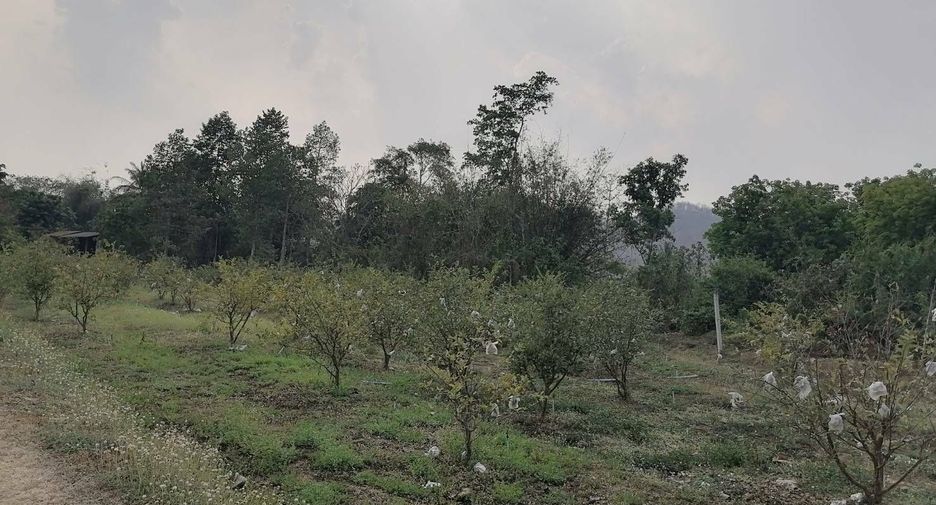 For sale land in Wang Chin, Phrae