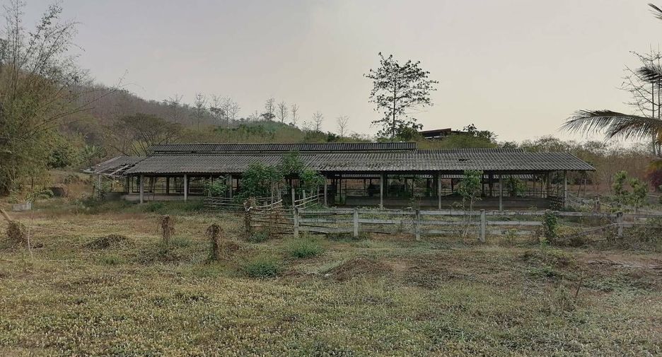For sale land in Wang Chin, Phrae