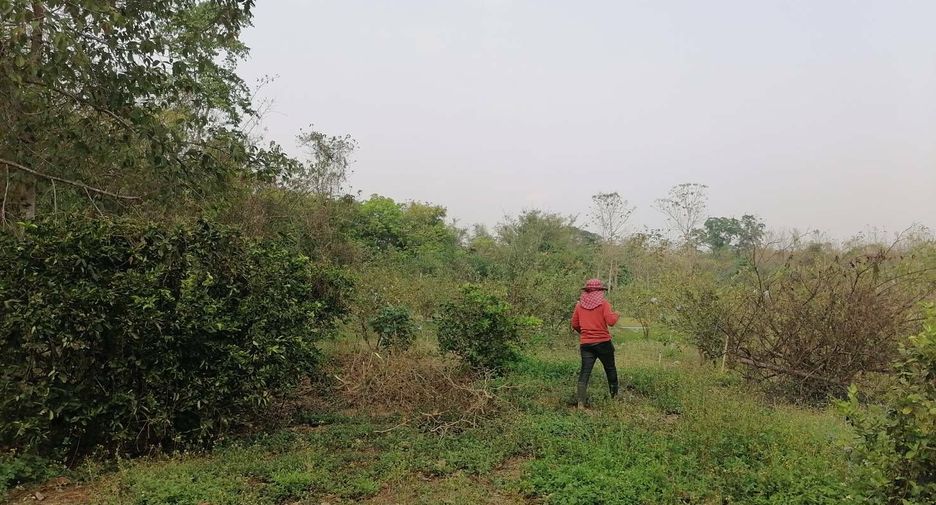 For sale land in Wang Chin, Phrae
