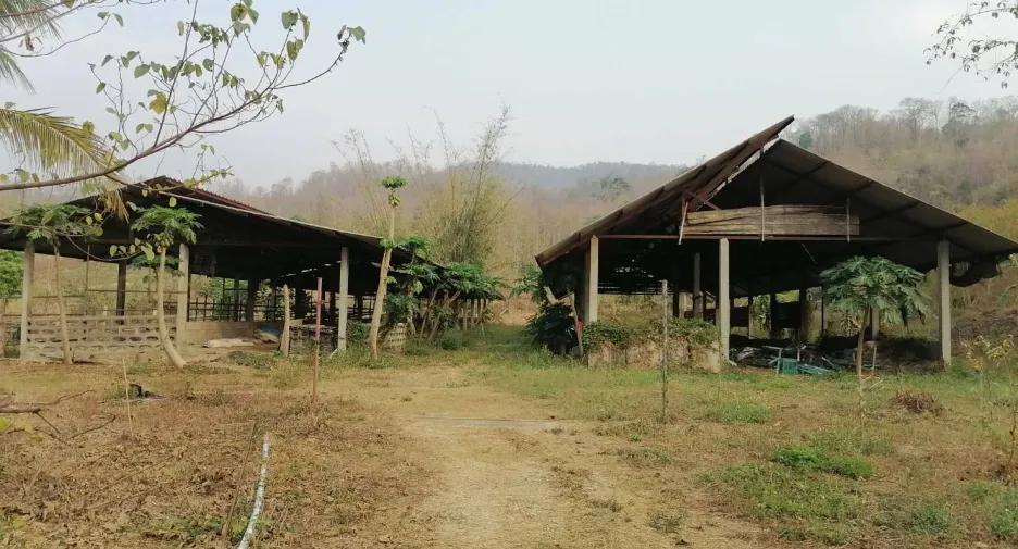 For sale land in Wang Chin, Phrae