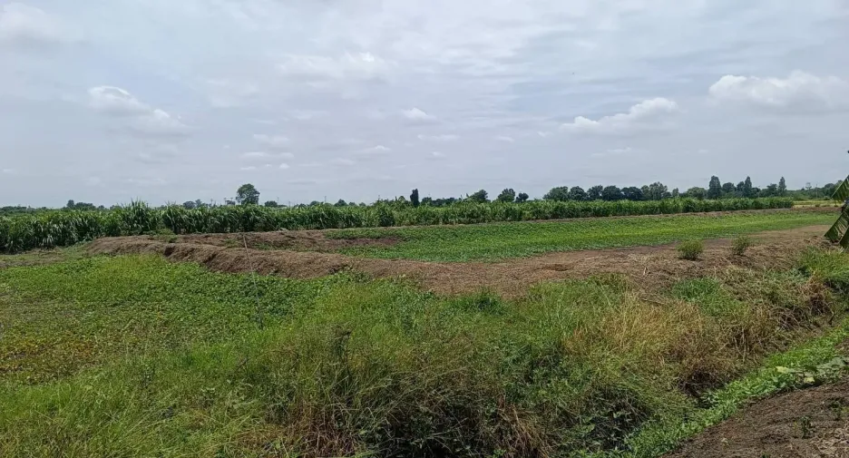 Terreno en venta en Don Tum, Nakhon Pathom