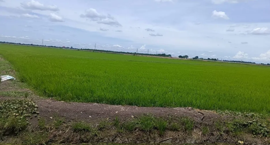 Terreno en venta en Don Tum, Nakhon Pathom