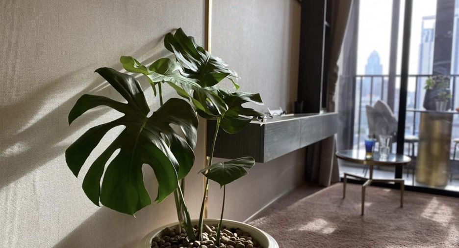 For sale 1 bed condo in Khlong Toei, Bangkok