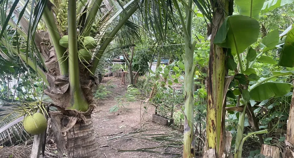 For sale 6 bedrooms house in Lat Lum Kaeo, Pathum Thani