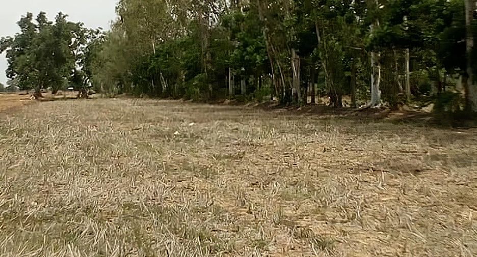 For sale land in Si Samrong, Sukhothai