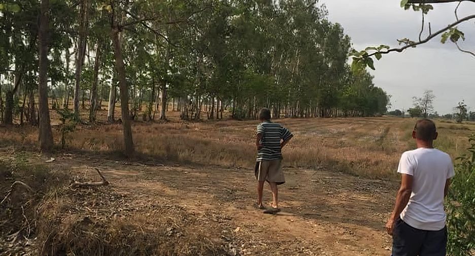 For sale land in Si Samrong, Sukhothai