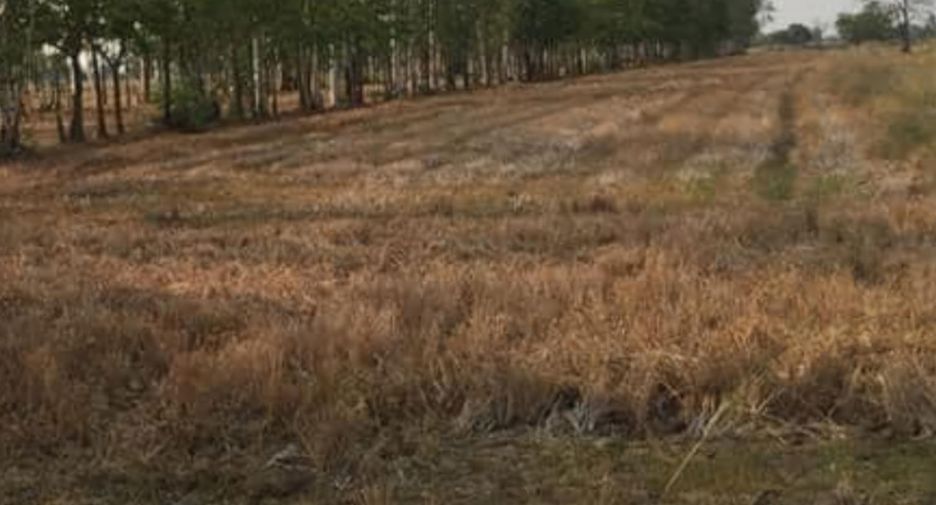 For sale land in Si Samrong, Sukhothai