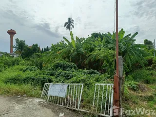 Продажа Участок в Bang Kruai, Нонтабури