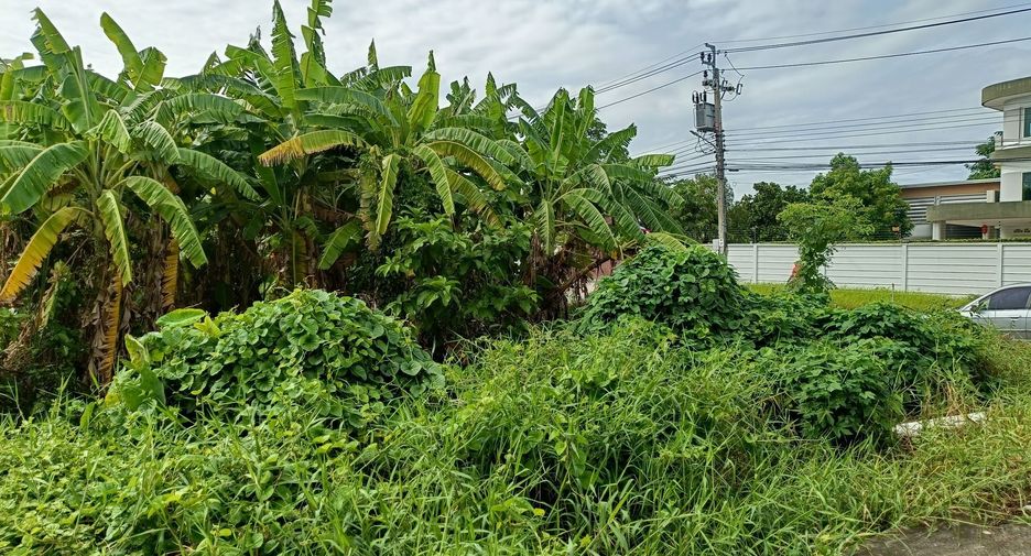 Grundstück zum Kauf in Bang Kruai, Nonthaburi