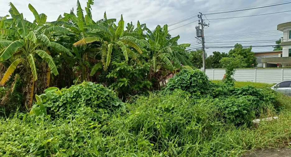 Grundstück zum Kauf in Bang Kruai, Nonthaburi