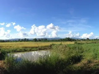 出售 土地 在 Chiang Khong, Chiang Rai