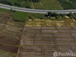 For sale land in Chiang Khong, Chiang Rai