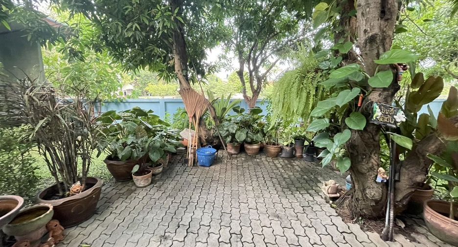 For sale 3 bedrooms house in Phu Khiao, Chaiyaphum