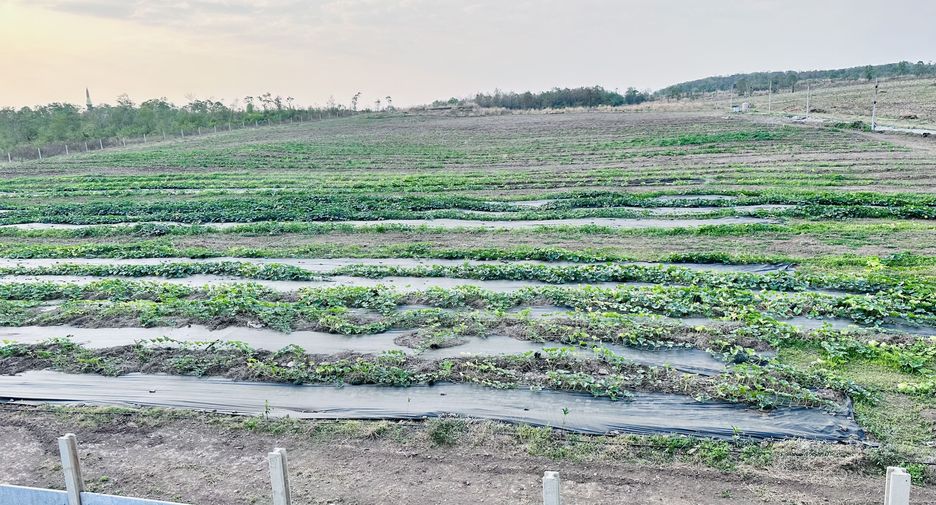 For sale 3 bedrooms house in Khok Samrong, Lopburi